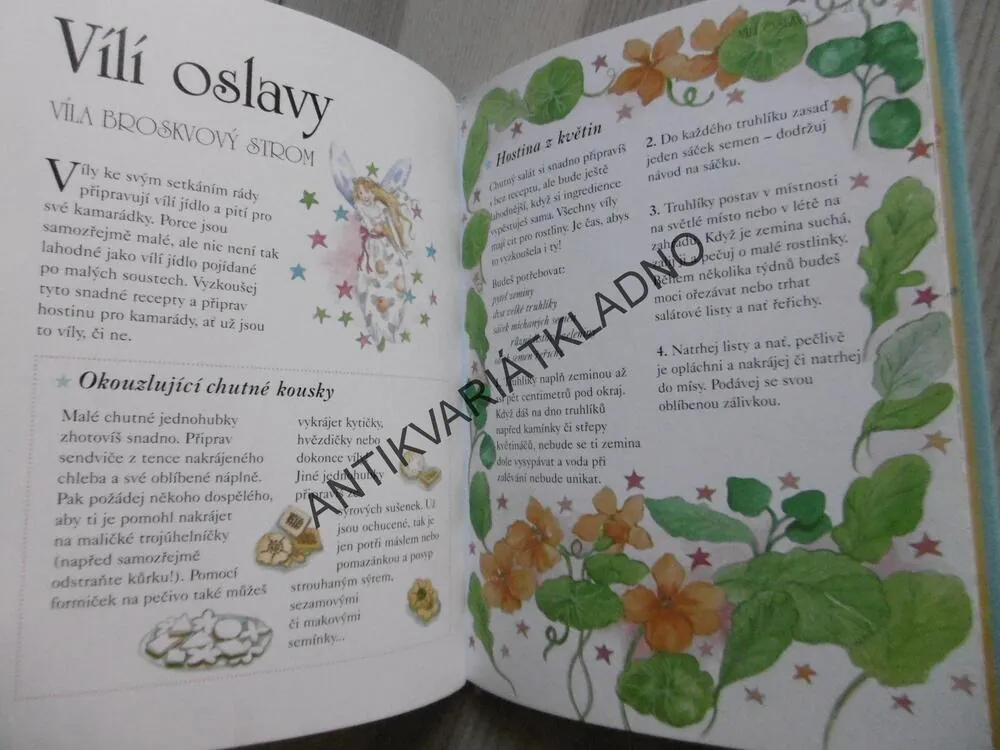 CHCI BÝT VÍLA, BAXTEROVÁ, MANSONOVÁ, **an