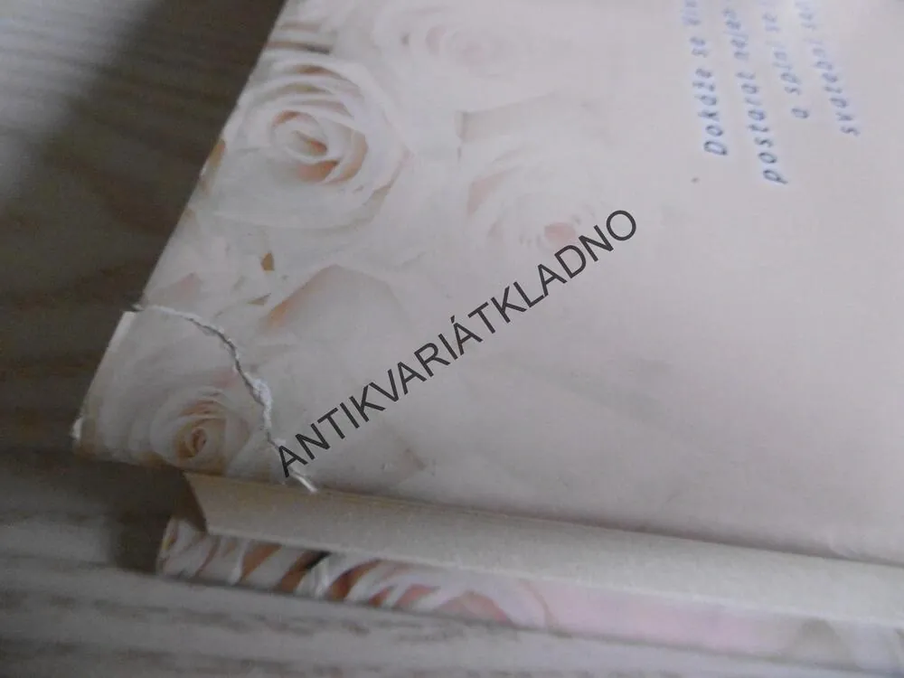 DENÍK NEVĚSTY, LINDA FRANCIS LEE, **an