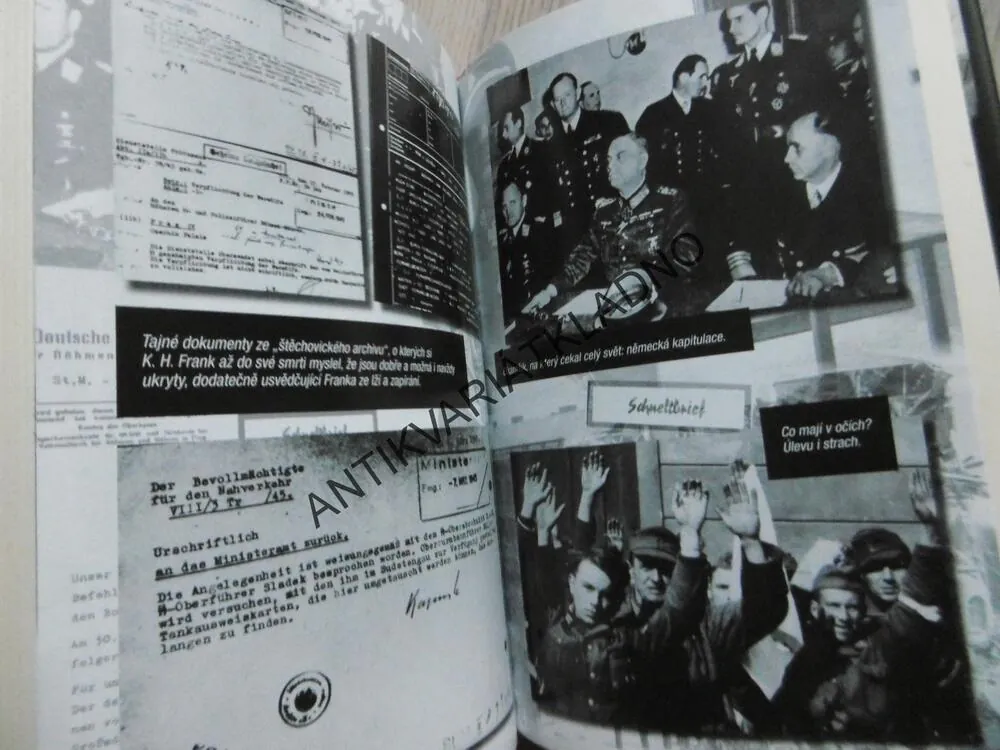 ČAS VÍTĚZŮ, ČAS PORAŽENÝCH, ROMAN CÍLEK, **an