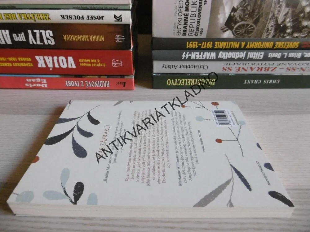 ČAS ZÁZRAKŮ, NOVÝ SDTŘEDNÍ VĚK, MARIANNE WILLIAMSON, **an