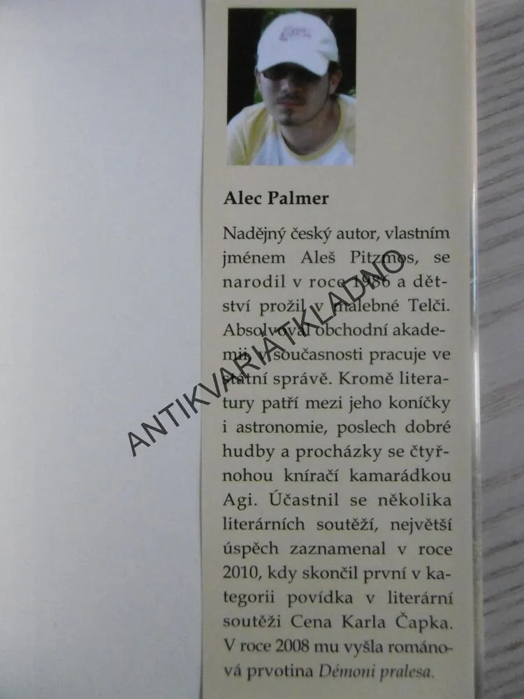ZTRACENÉ MĚSTO, ALEC PALMER, **an