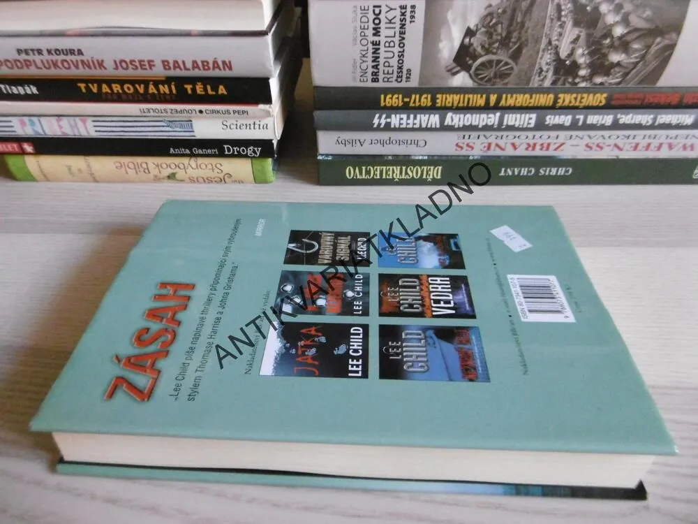 ZÁSAH, LEE CHILD, **an