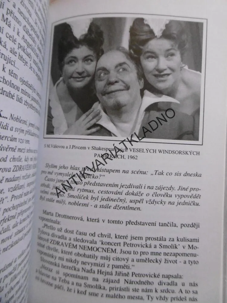 JIŘINA PETROVICKÁ A JEJÍ STŘÍPKY, **an