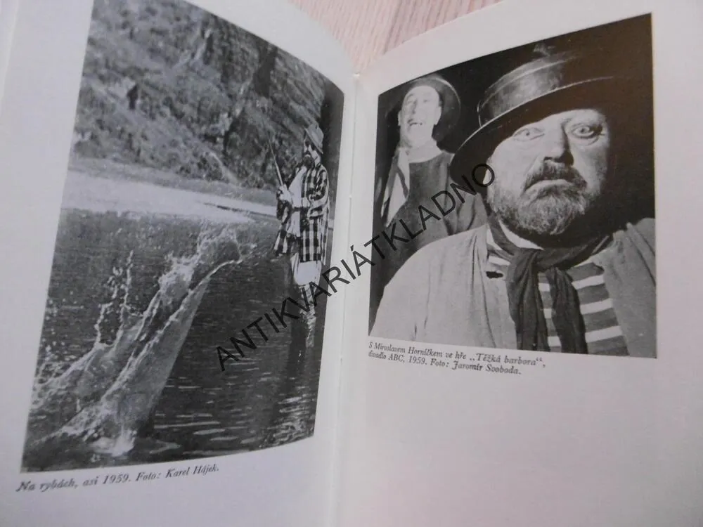 ROZHOVORY S JANEM WERICHEM, JIŘÍ JANOUŠEK, **an