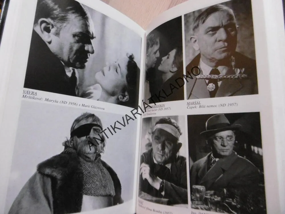 ZDENĚK ŠTĚPÁNEK, HEREC A DĚJINY, JAROSLAV VOSTRÝ, **an