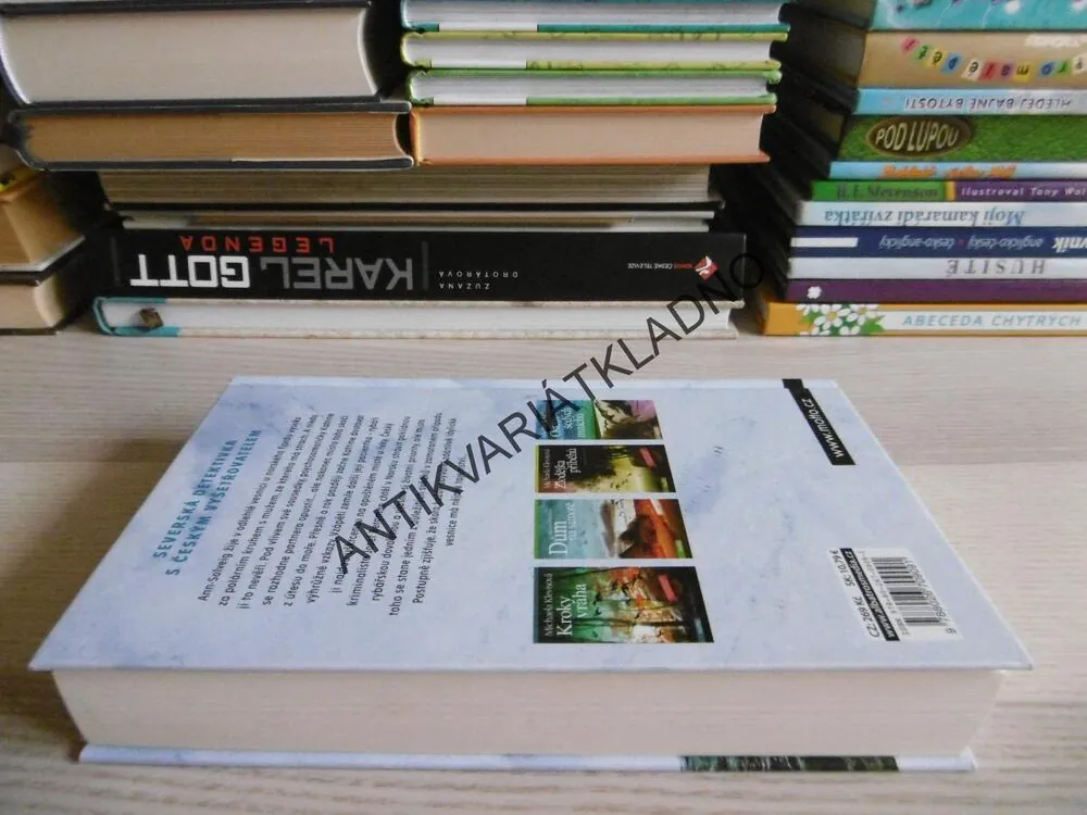 ZMIZELA V MLZE, MICHAELA KLEVISOVÁ, **an
