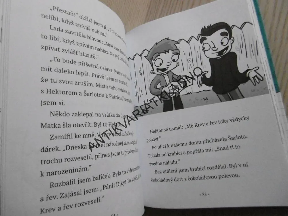KÁJA SUPER FRÁJA, NAROZENINOVÉ PŘEKVAPENÍ, D.L. GREENOVÁ **an