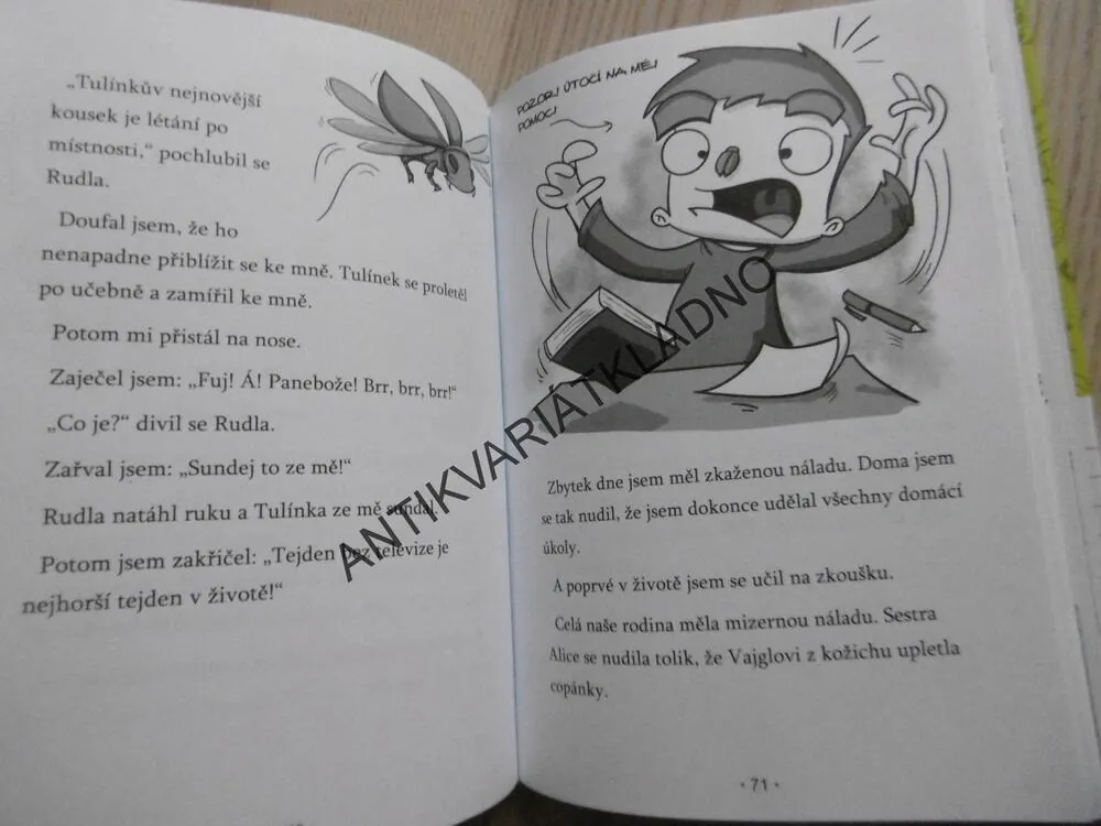 KÁJA SUPER FRÁJA, TÝDEN BEZ TELEVIZE, D.L. GREENOVÁ **an