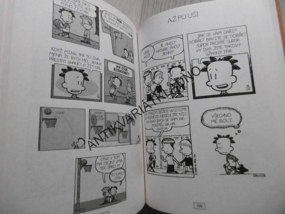 VELKEJ FRAJER NATE, KOMIKS, LINCOLN PEIRCE, **an