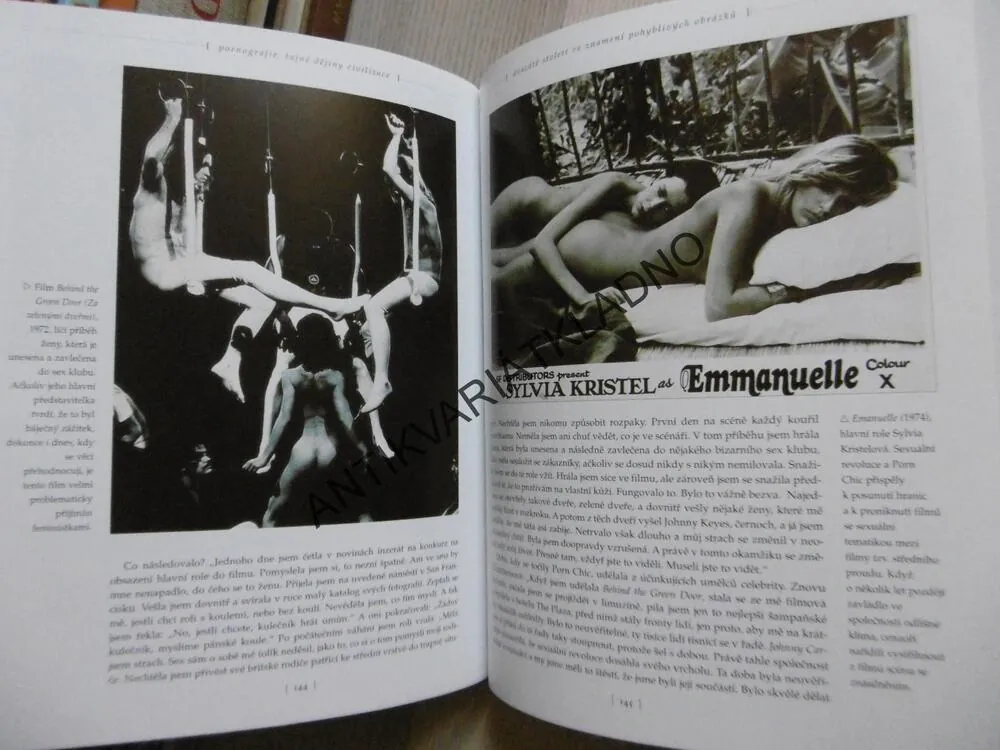 PORNOGRAFIE, TAJNÉ DĚJINY CIVILIZACE, ISABEL TANGOVÁ,**an