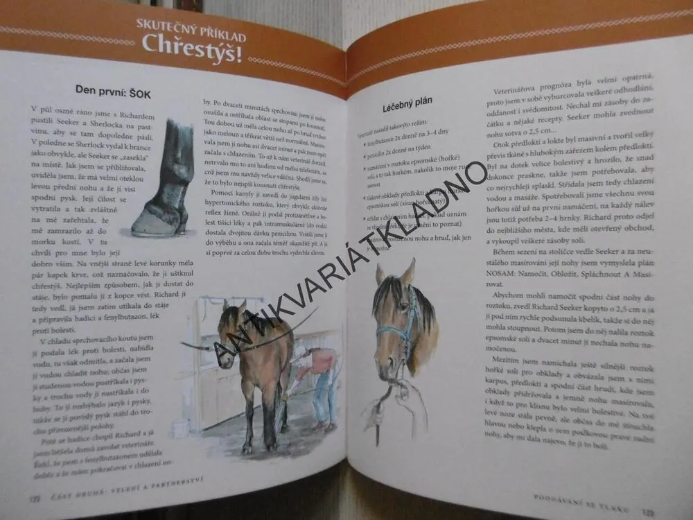 CO BY MĚL KAŽDÝ KŮŇ ZNÁT, VÝCVIK, CHERRY HILLOVÁ, **an
