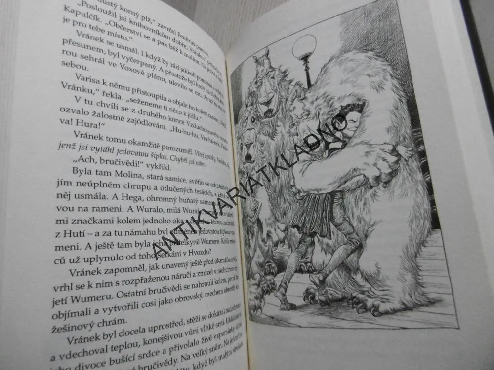 VOX KRONIKY SVĚTAKRAJE, PAUL STEWART, CHRIS RIDELL, **an