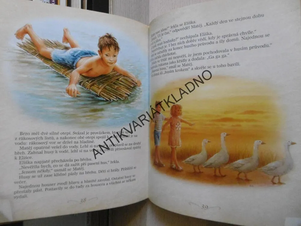 PŘÍBĚHY Z NAŠEHO STATKU, **an