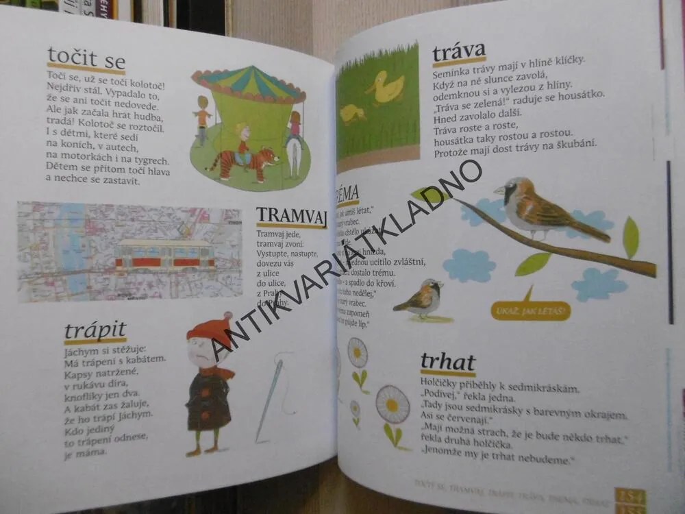 VELKÁ OBRÁZKOVÁ KNÍŽKA PRO MALÉ DĚTI, LUKEŠOVÁ, ŘÍHA,**an
