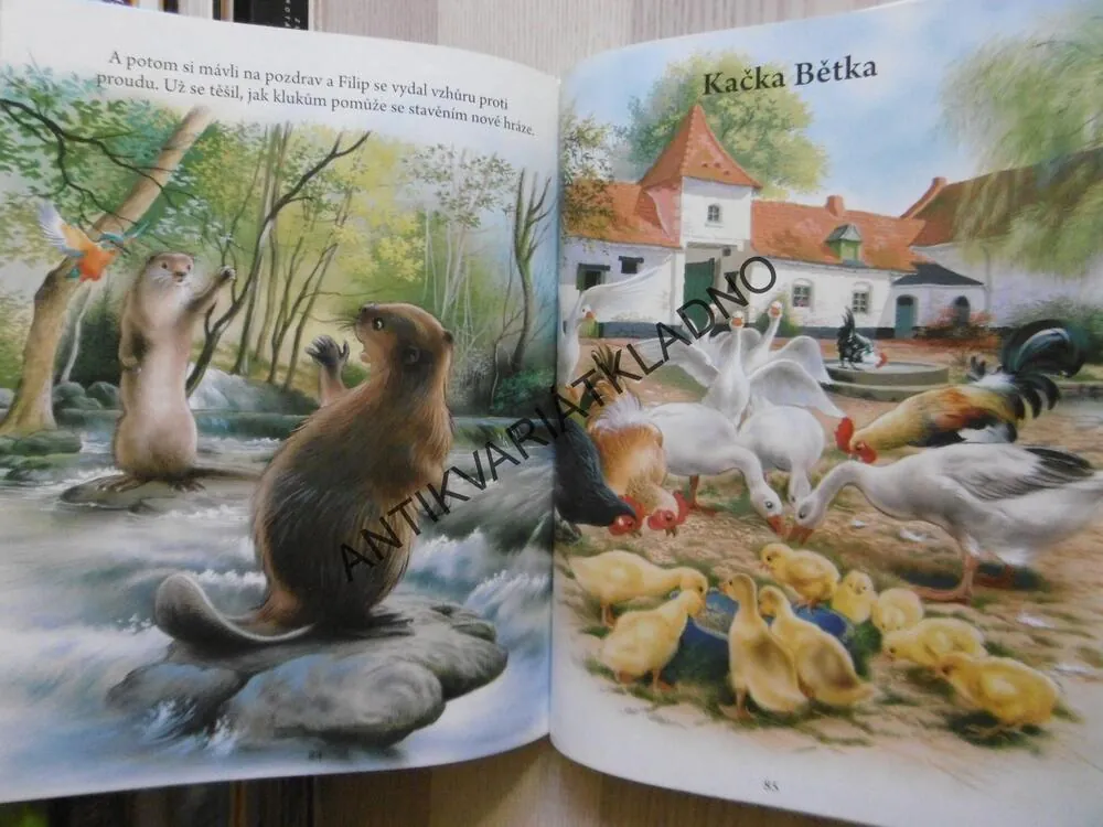 MOJI KAMARÁDI ZVÍŘÁTKA, SALEMBIER, **an