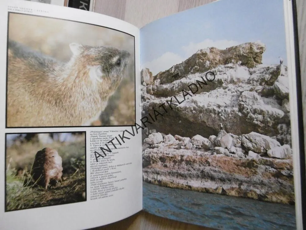 AFRIKA, RÁJ A PEKLO ZVÍŘAT, JOSEF VÁGNER, **an