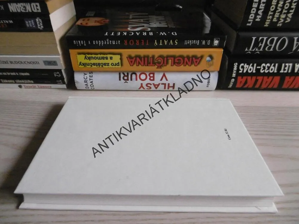 STŘÍBRNÝ OTAZNÍK, 1. VLASTA JAVOŘICKÁ, **an