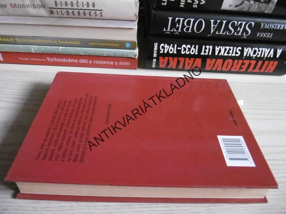DÉMON Z JINÉHO SVĚTA, J.J. DUFFACK, M. JENSEN, **an