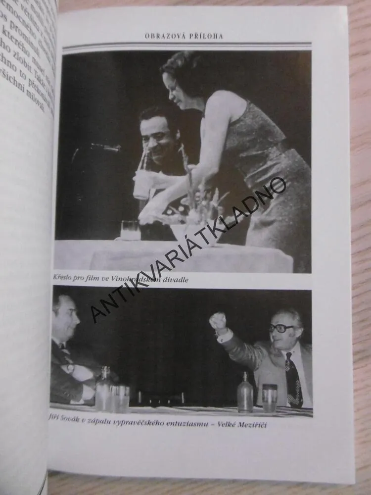 UTAJENÉ VZPOMÍNKY NA VLADIMÍRA MENŠÍKA, ALENA HORÁKOVÁ-FONOVÁ,  **an