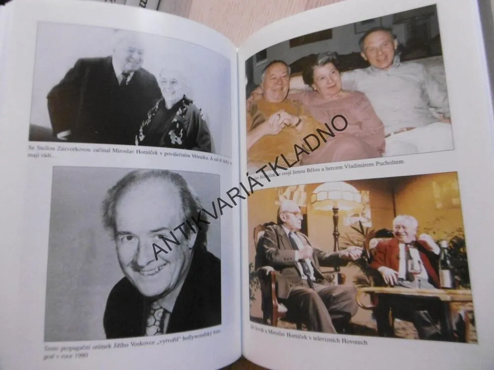 ZPOVĚĎ NA KONCI CESTY, MIROSLAV HORNÍČEK, JAN HŮLA, , **an