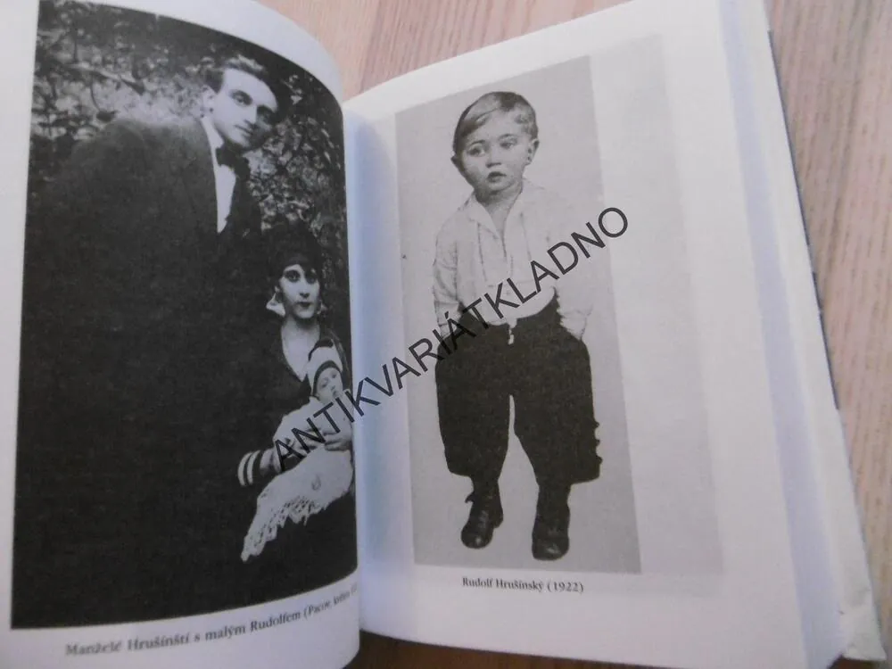 KRONIKA RODU HRUŠÍNSKÝCH, MARIE VALTROVÁ, **an