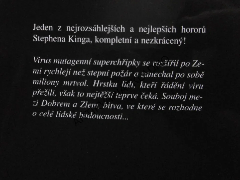 SVĚDECTVÍ, STEPHEN KING, **an