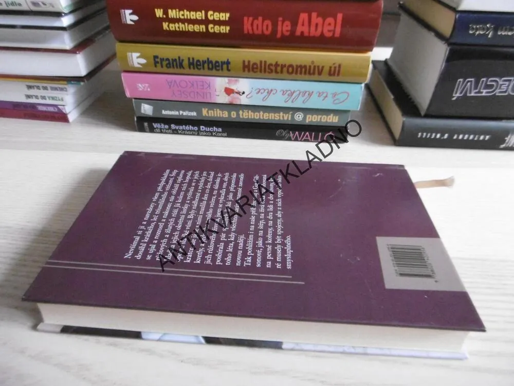 PŘÍKLADNÁ ANGLICKÁ ŽENA, RACHEL HEATHOVÁ,**an