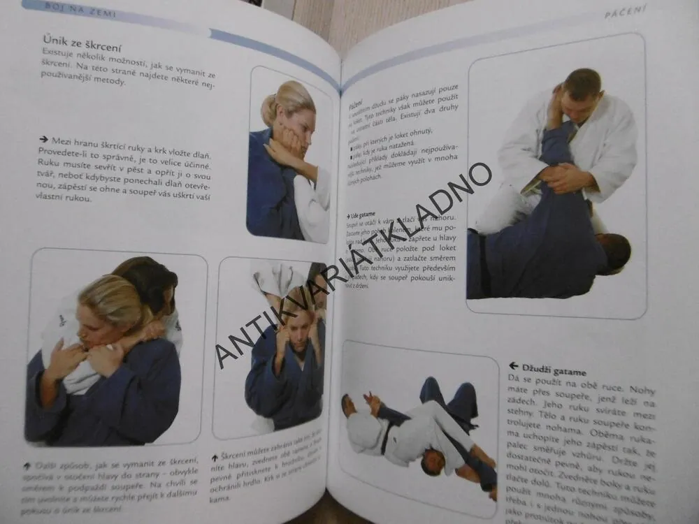 DŽUDO, PRŮVODCE BOJOVÝM UMĚNÍM,ALEX BUTCHER, **an