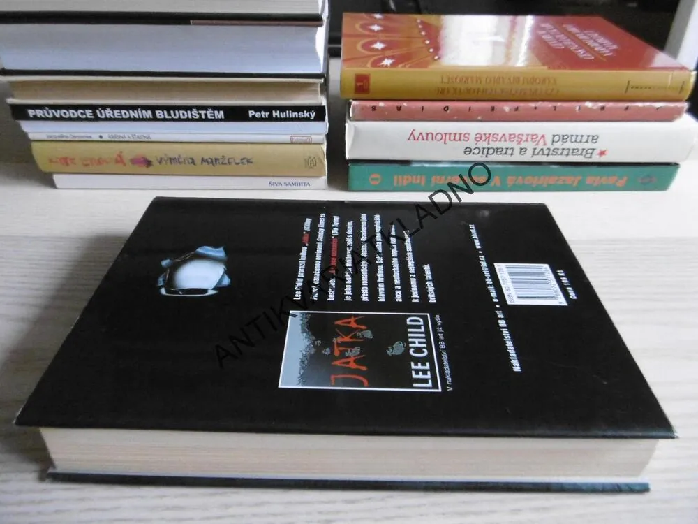A PŘECE NEZEMŘEŠ, LEE CHILD, **an