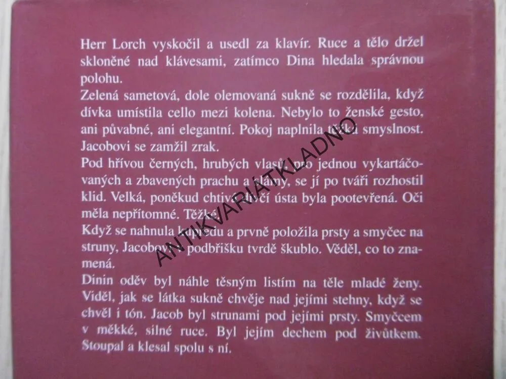 KNIHA DININA, HERBJORG WASSMO, **an