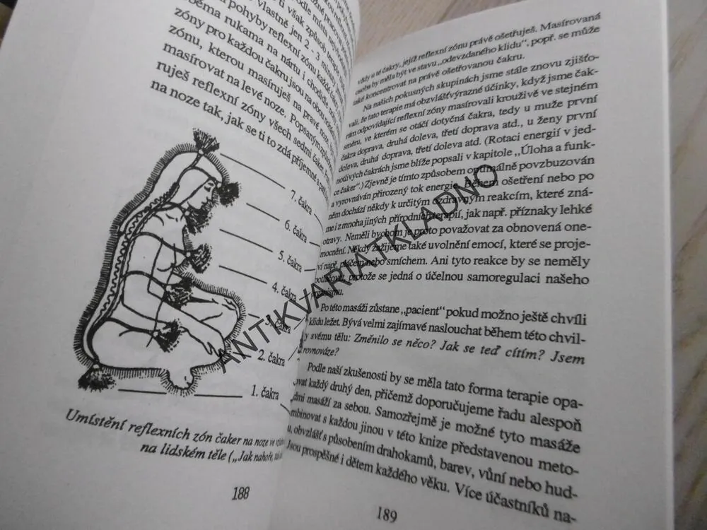 ZÁKLADNÍ KNIHA O ČAKRÁCH, SHALILA SHARAMON, **an