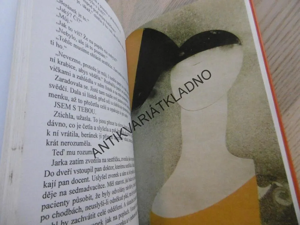 DÁREK PRO MONIKU, HANA PRAŽÁKOVÁ, **an