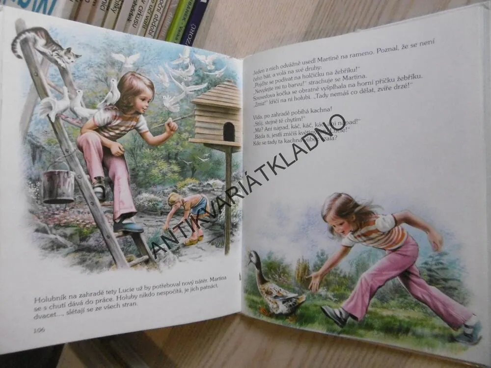MARTINKA U TETY LUCIE, MARCELA BAYEROVÁ, **an
