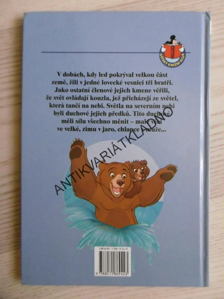 MEDVĚDÍ BRATŘI, DISNEY, **an