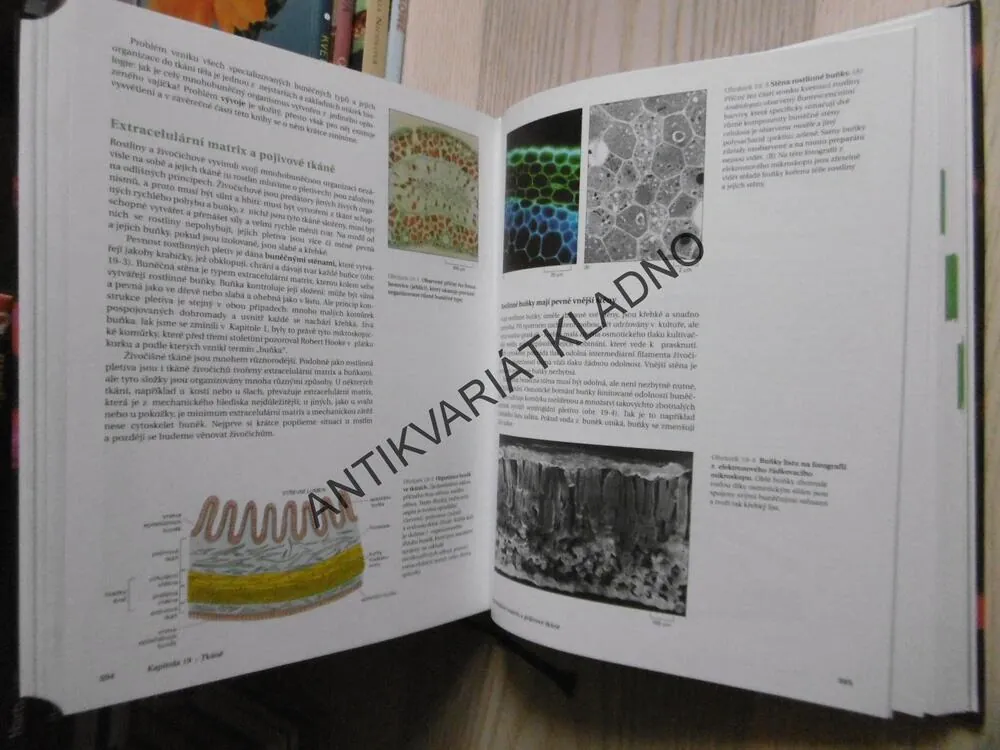 ZÁKLADY BUNĚČNÉ BIOLOGIE, ÚVOD DO MOLEKULÁRNÍ BIOLOGIE BUŇKY,