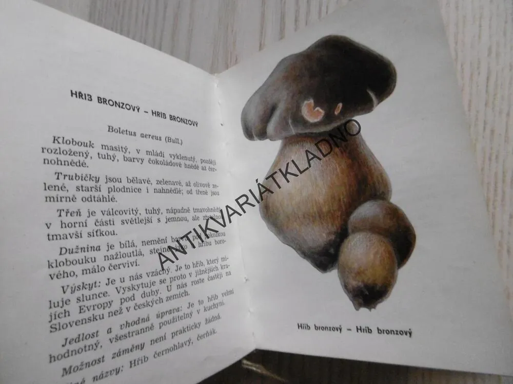 HOUBY V PŘÍRODĚ A KUCHYNI, M.SMOTLACHA, J.NOVÁK,**an