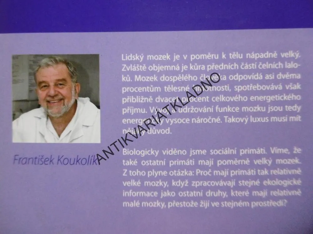 JAK SI LIDÉ HRAJÍ, FRANTIŠEK KOUKOLÍK, **an