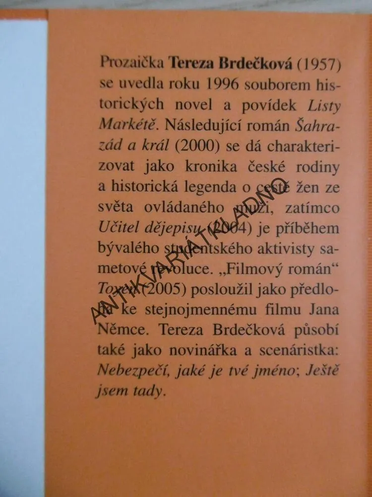 LISTY MARKÉTĚ, TEREZA BRDEČKOVÁ, **an