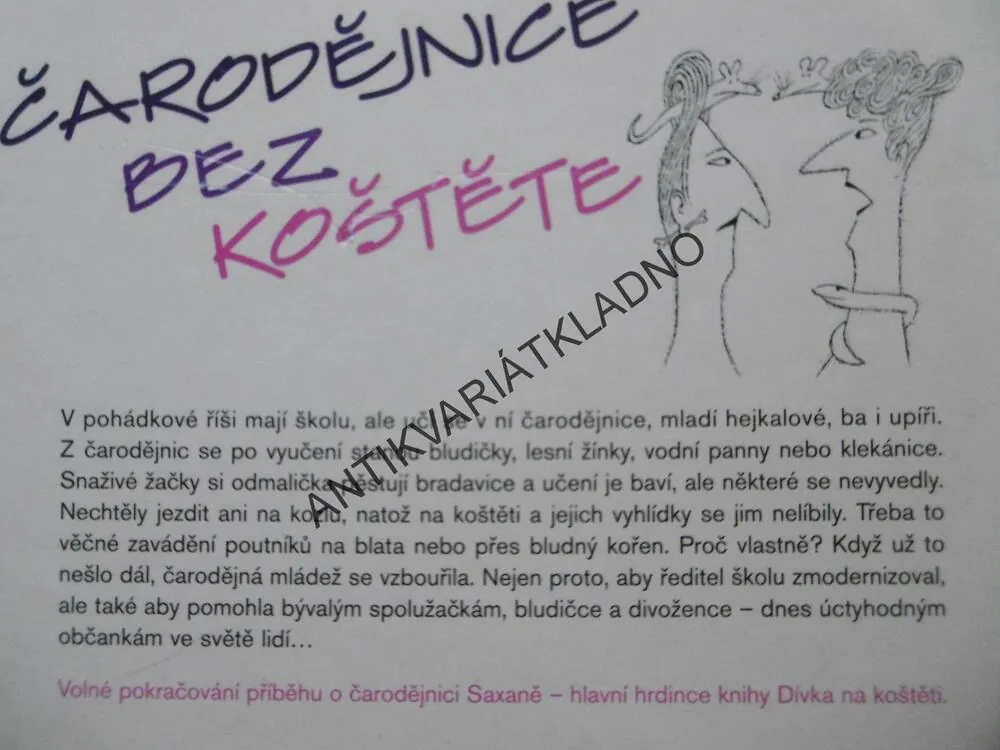 ČARODĚJNICE BEZ KOŠTĚTE, HERMÍNA FRANKOVÁ, **an