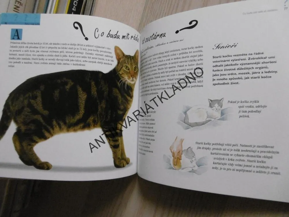 101 OTÁZEK NA KTERÉ SE VAŠE KOČKA BUDE PTÁT, **an