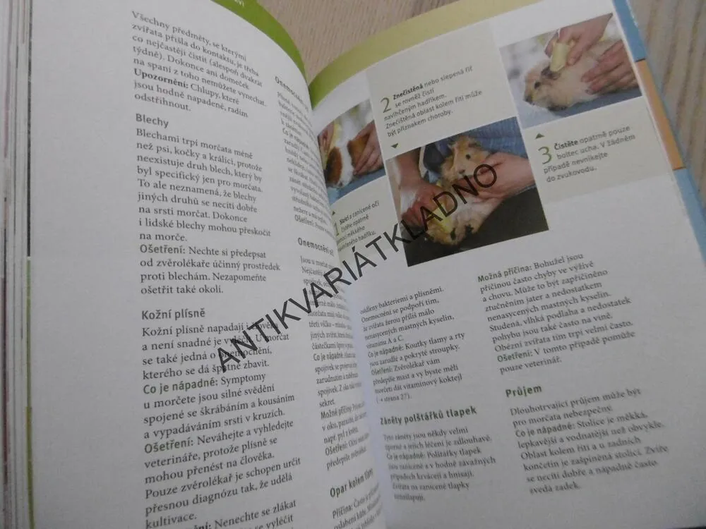 VAŠE MORČE, VAŠE ZVÍŘÁTKO, IMMANUEL BIRMELIN, CHOV, KRMENÍ, VÝCHOVA,**an