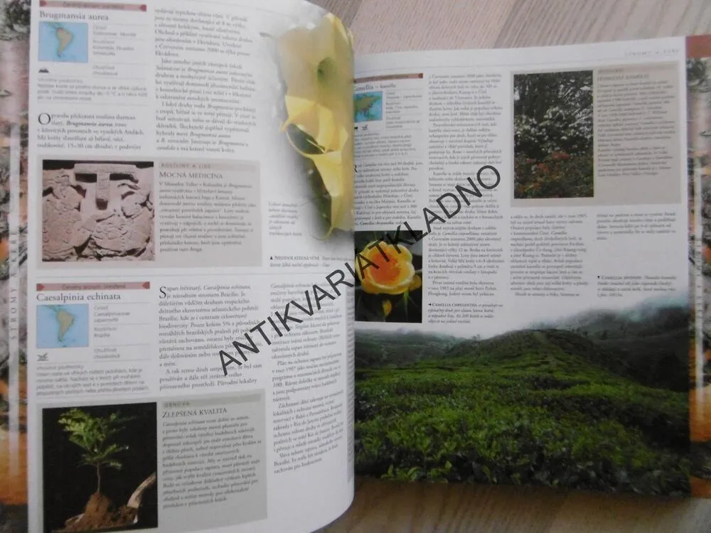 ROSTLINY, OBRAZOVÁ ENCYKLOPEDIE ROSTLIN CELÉHO SVĚTA , **an