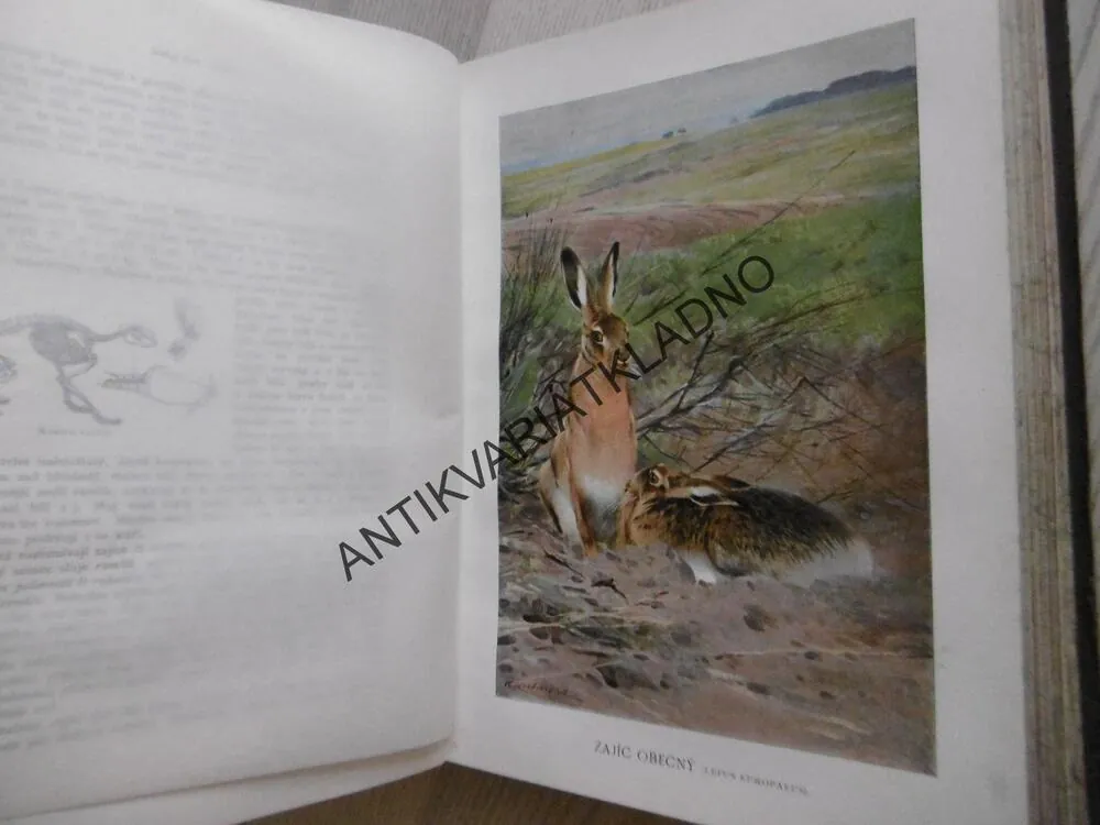 BREHM, BREHMŮV ŽIVOT ZVÍŘAT 1., SAVCI.2. **an