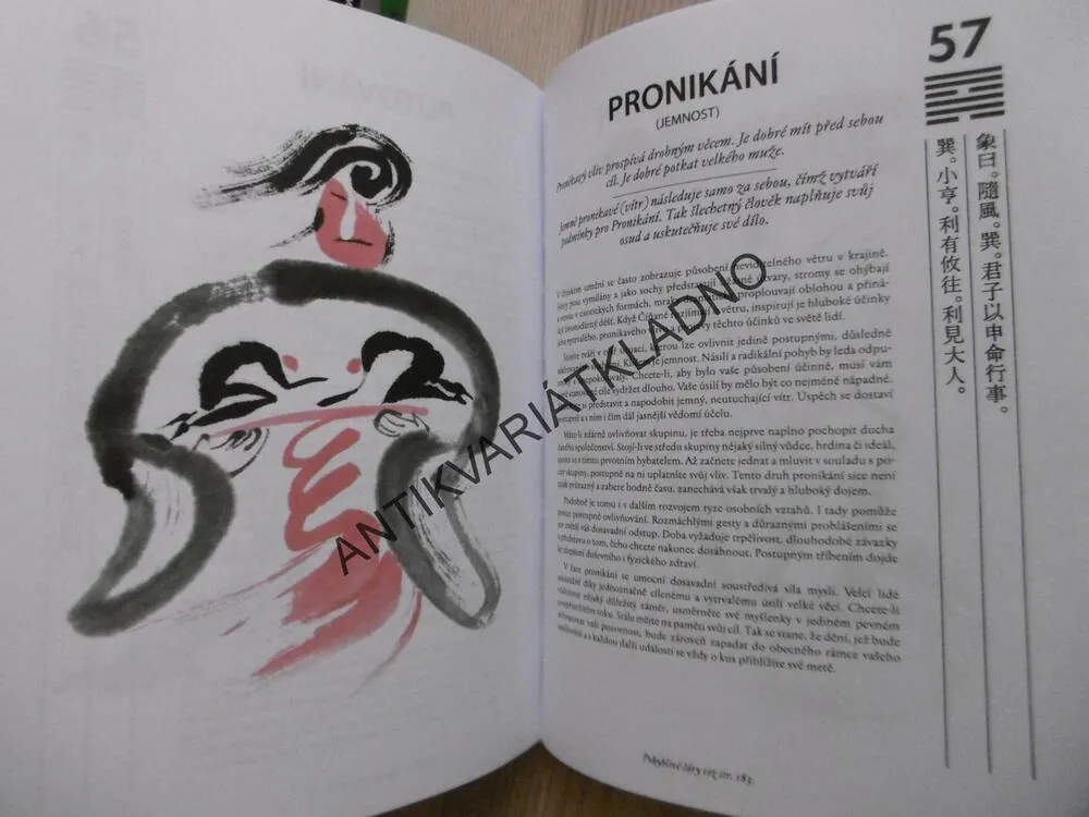 I-ŤING, ILUSTROVANÁ KNIHA PROMĚN, R.L. WING,