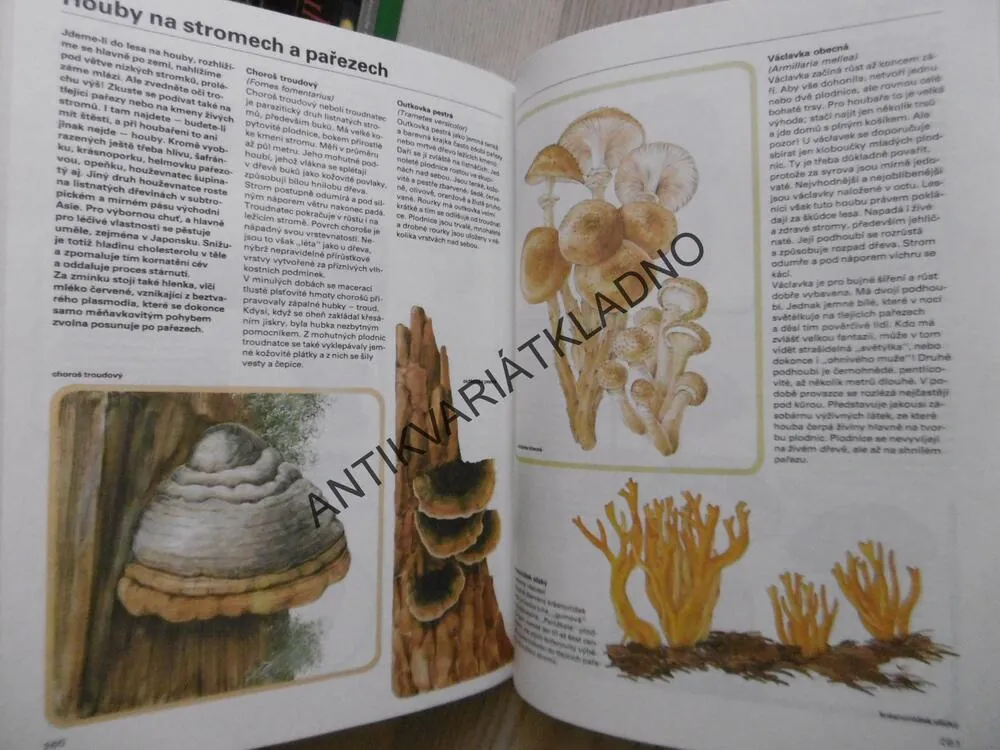 PESTRÁ PŘÍRODA, ZOOLOGIE, BOTANIKA, MINERALOGIE, **an