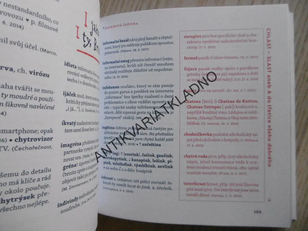 HACKNUTÁ ČEŠTINA, NEORTODOXNÍ SLOVNÍK DNEŠNÍ MATEŘŠTINY, KAVKA, ŠKRABAL, **an