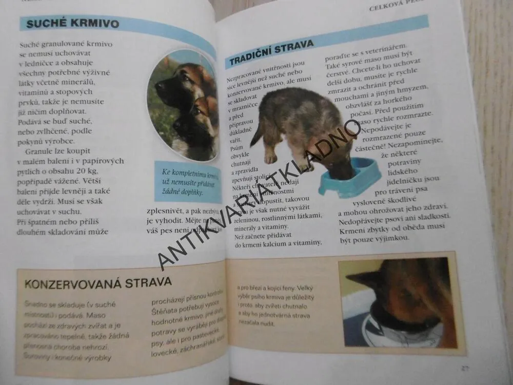 NĚMECKÝ OVČÁK, PES, CHOVATEL, MALCOLM WILLIS, PÉČE A VÝCVIK,, **an