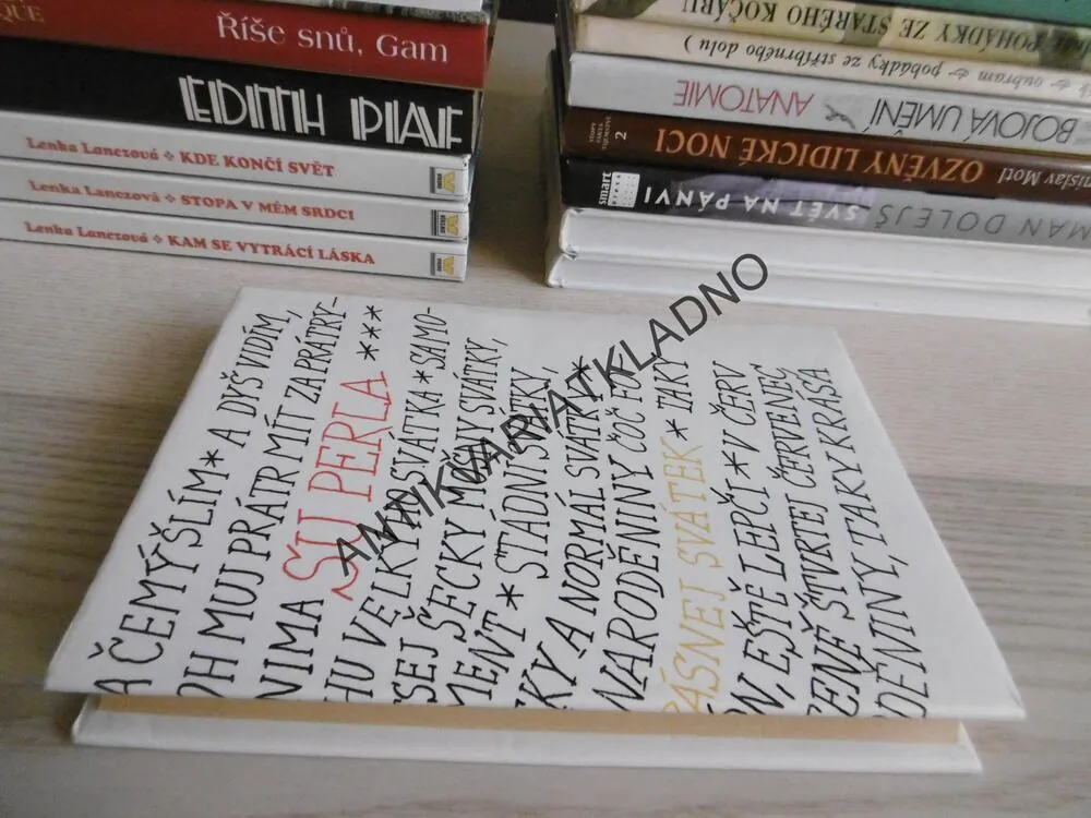 PAN KAPLAN MÁ STÁLE TŘÍDU RÁD, LEO ROSTEN, **an