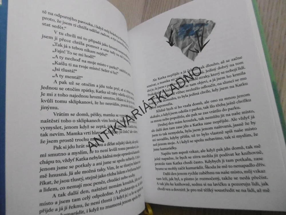 KLUB DIVNÝCH DĚTÍ, PETRA SOUKUPOVÁ, **an