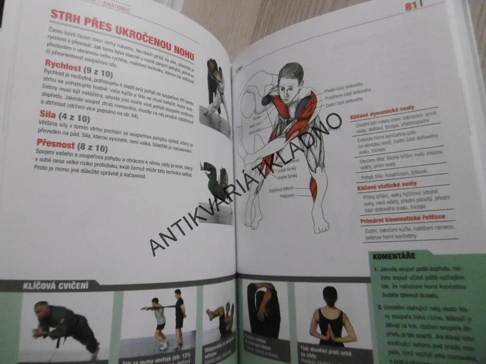BOJOVÁ UMĚNÍ, ANATOMIE, NORMAN LINK, SPORT, **an
